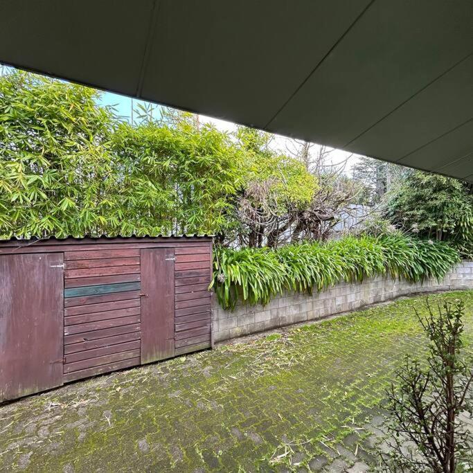 Peaceful Green Bay Charmer Auckland Buitenkant foto